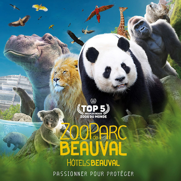 E-carte cadeau Zoo Parc de Beauval